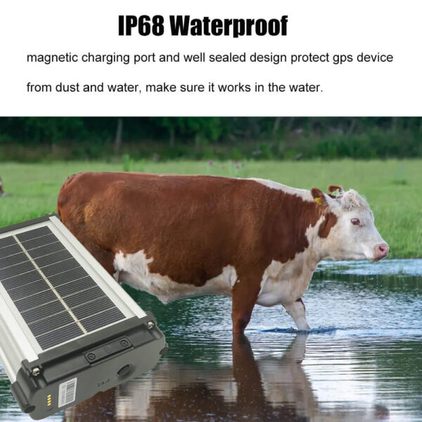 4G Solar GPS Tracker For Animals - Image 3